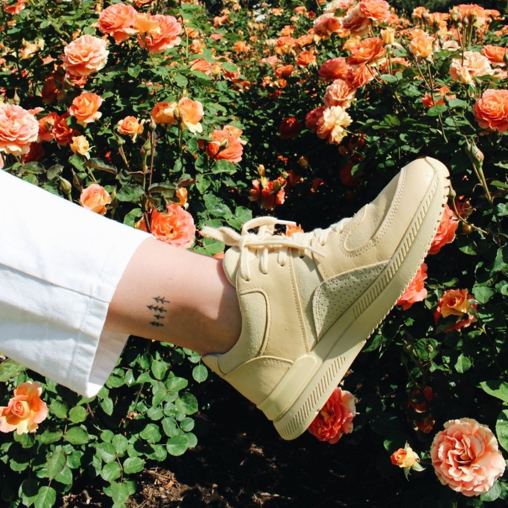 Everlane The Trainer butter size 10